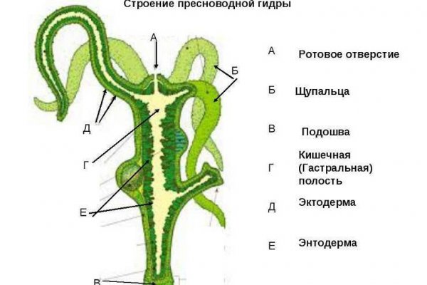 Найти ссылку кракен